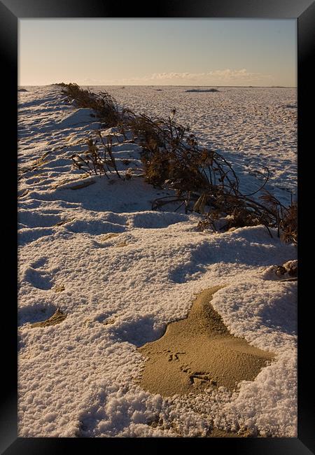 Snowy beach Framed Print by Thomas Schaeffer