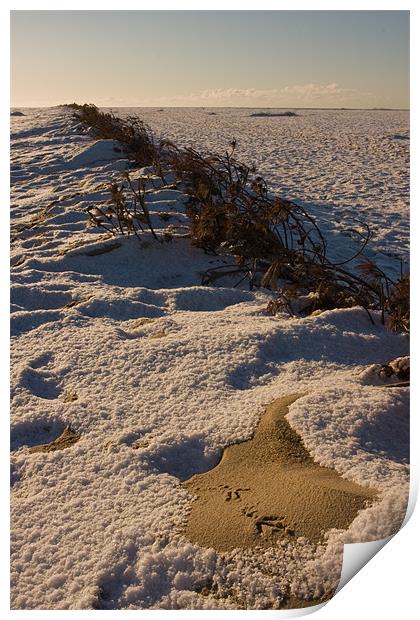 Snowy beach Print by Thomas Schaeffer