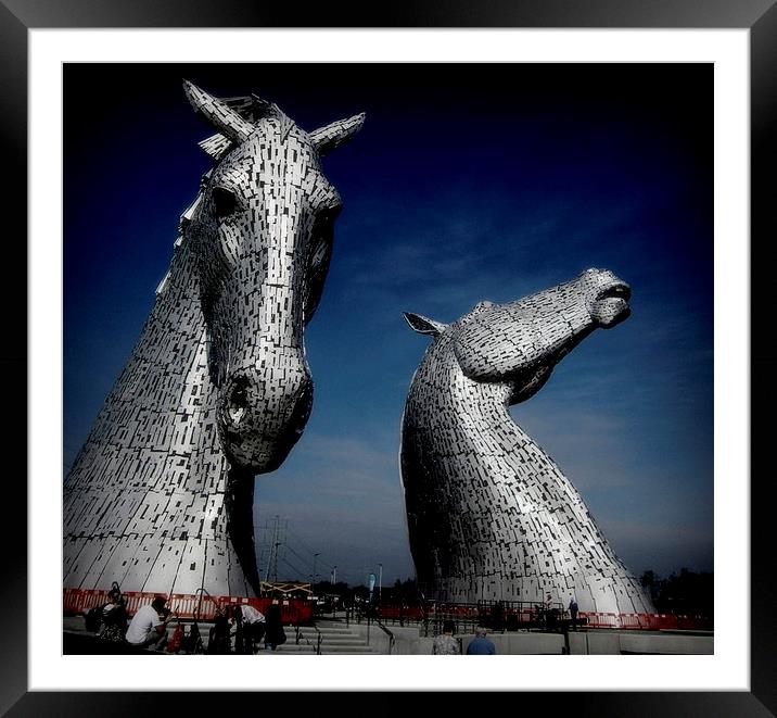 down at the kelpies    Framed Mounted Print by dale rys (LP)