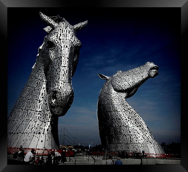  down at the kelpies   Framed Print by dale rys (LP)