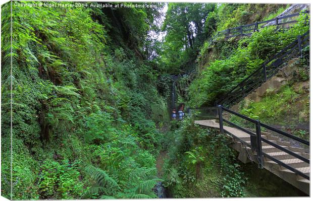 Shanklin Chine Canvas Print by Wight Landscapes