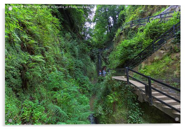 Shanklin Chine Acrylic by Wight Landscapes