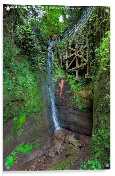 Shanklin Chine Acrylic by Wight Landscapes