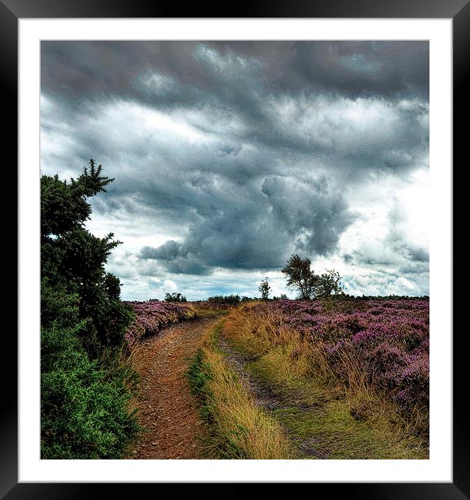  Wuthering Heights Framed Mounted Print by Alan Mattison