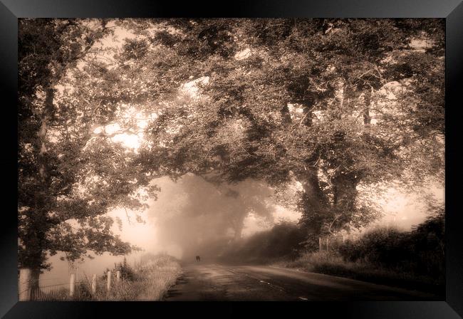  Black Dog on a Misty Road. Misty Roads of Scotlan Framed Print by Jenny Rainbow