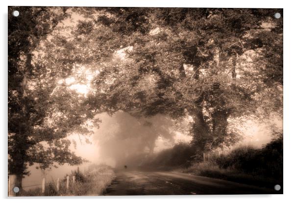  Black Dog on a Misty Road. Misty Roads of Scotlan Acrylic by Jenny Rainbow
