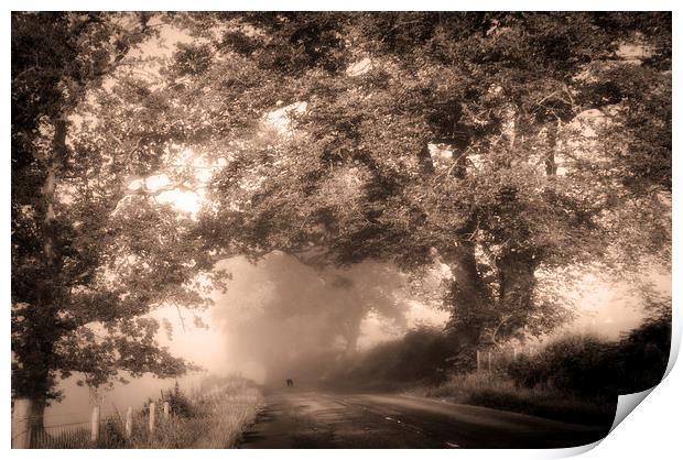  Black Dog on a Misty Road. Misty Roads of Scotlan Print by Jenny Rainbow