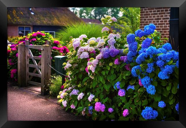  Colorful Hydrangea at the Gate  Framed Print by Jenny Rainbow