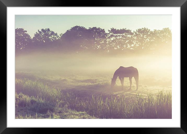 Misty Morning on the  Field Framed Mounted Print by Jenny Rainbow