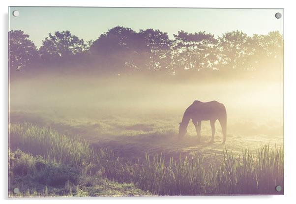  Misty Morning on the  Field Acrylic by Jenny Rainbow