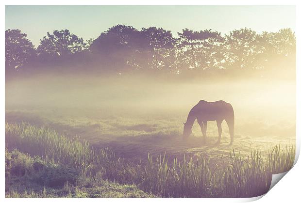  Misty Morning on the  Field Print by Jenny Rainbow