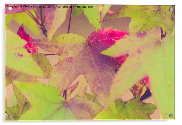  Fall leaves Acrylic by Chiara Cattaruzzi