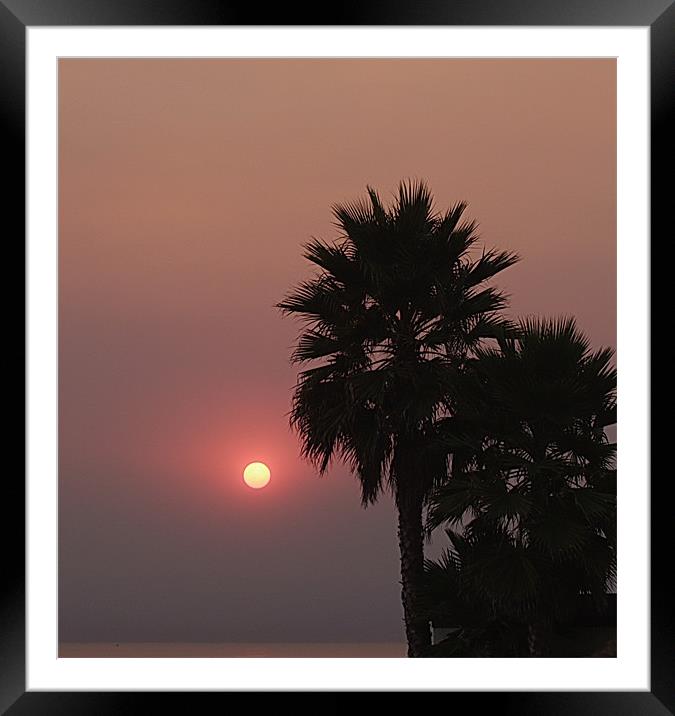 Fire Sunset Palms Framed Mounted Print by Patti Barrett