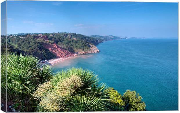  Oddicombe Beach viewed from Babbacombe Downs Canvas Print by Rosie Spooner