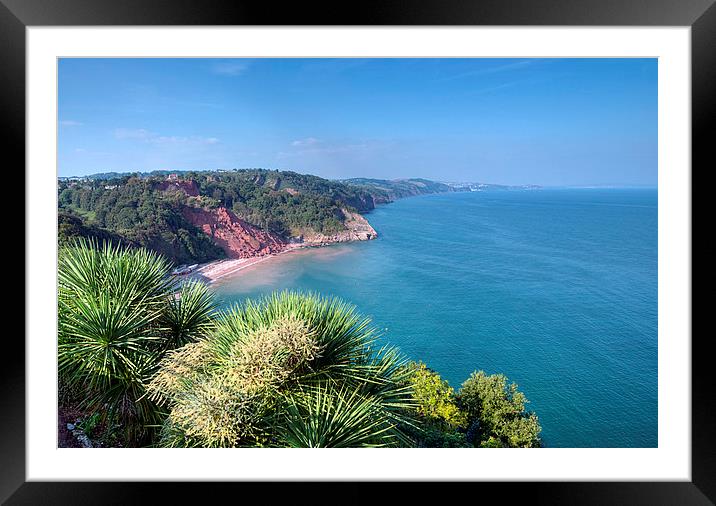  Oddicombe Beach viewed from Babbacombe Downs Framed Mounted Print by Rosie Spooner