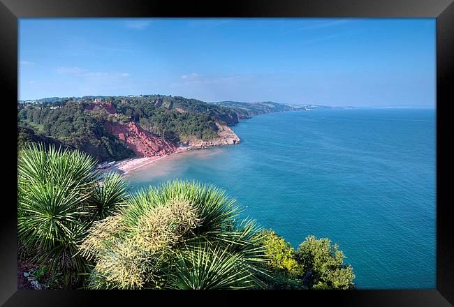  Oddicombe Beach viewed from Babbacombe Downs Framed Print by Rosie Spooner