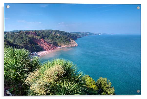  Oddicombe Beach viewed from Babbacombe Downs Acrylic by Rosie Spooner