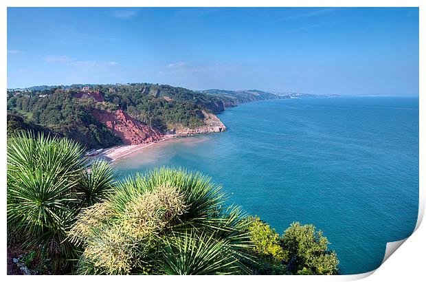  Oddicombe Beach viewed from Babbacombe Downs Print by Rosie Spooner