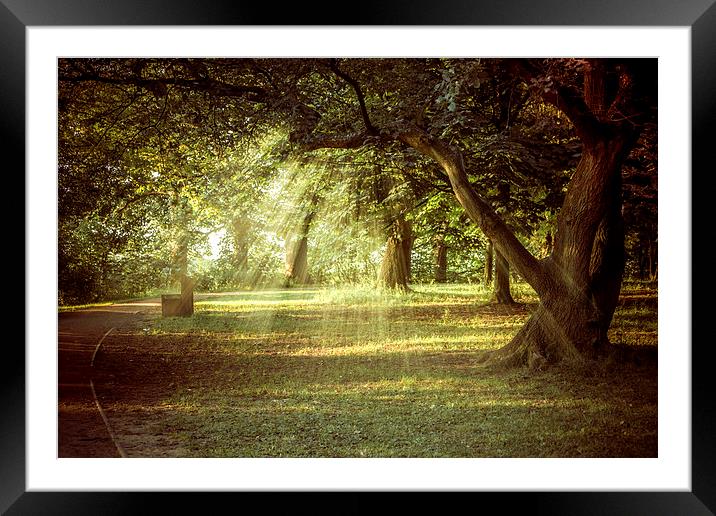  A Summers Walk Framed Mounted Print by Sean Wareing