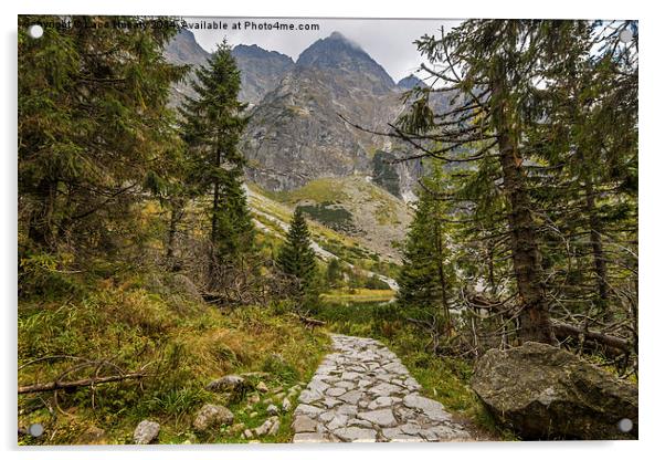 Trail to the mountain Acrylic by Laco Hubaty