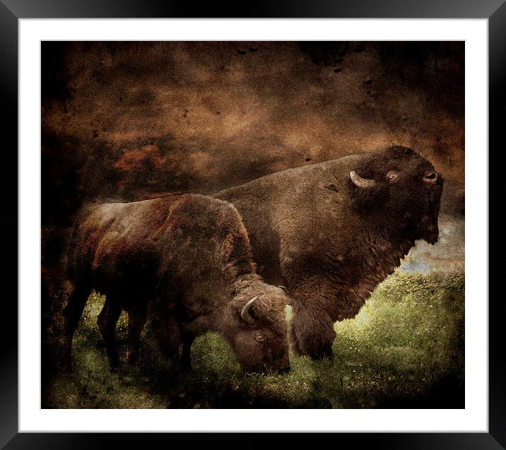 From a time gone by Framed Mounted Print by Alan Mattison