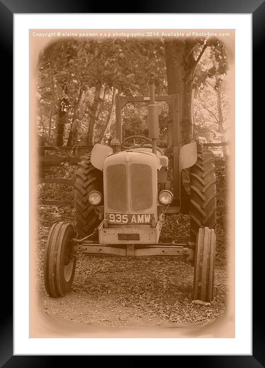 antique tractor  Framed Mounted Print by Elaine Pearson