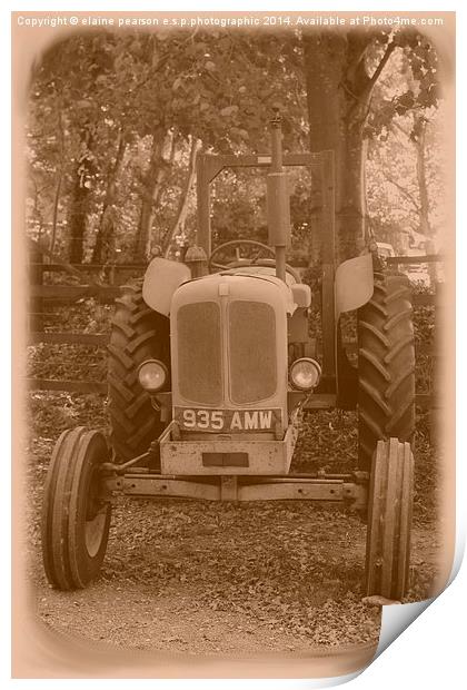antique tractor  Print by Elaine Pearson