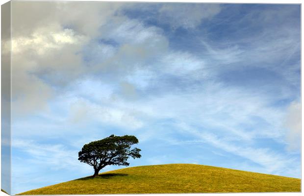  One Tree Hill Canvas Print by Mal Bray