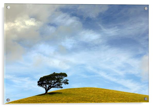  One Tree Hill Acrylic by Mal Bray