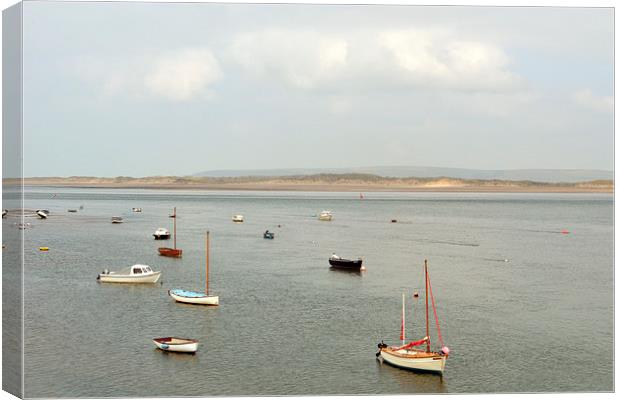 The Estuary at Appledore  Canvas Print by graham young