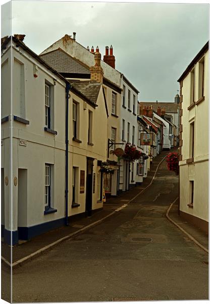 Meeting Street, Appledore  Canvas Print by graham young