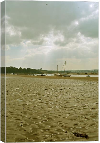 The Beach at Instow  Canvas Print by graham young