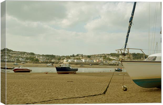 Across to Appledore  Canvas Print by graham young