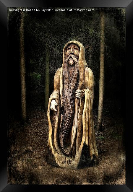  Old Man of the Forest Framed Print by Robert Murray