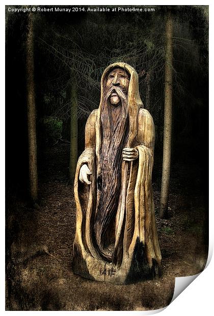  Old Man of the Forest Print by Robert Murray
