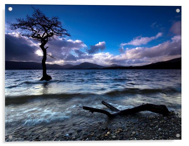  Loch Lomond, Scotland Acrylic by Dave Hudspeth Landscape Photography