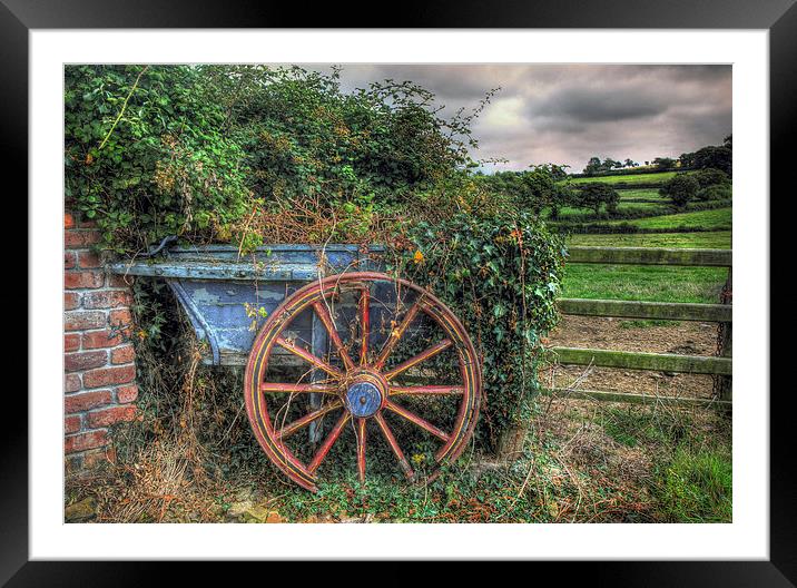  Old and Overgrown Cart Framed Mounted Print by Mal Bray