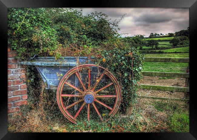  Old and Overgrown Cart Framed Print by Mal Bray