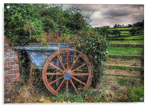  Old and Overgrown Cart Acrylic by Mal Bray