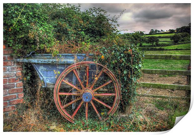  Old and Overgrown Cart Print by Mal Bray