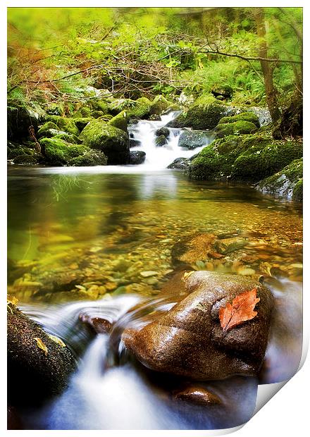  Welsh Stream near Aber Falls Print by Mal Bray