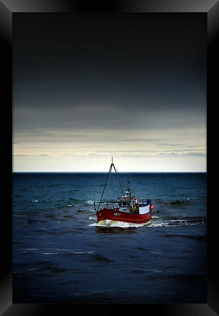 Coming Home Framed Print by TIM HUGHES