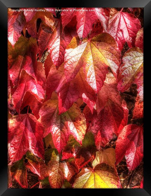  Autumn Leaves Framed Print by Andy Huntley