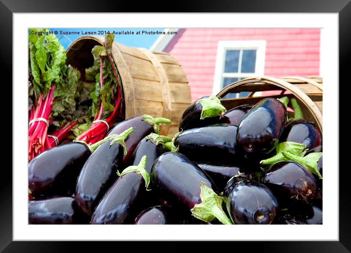  Eggplant! Framed Mounted Print by Suzanne Larson