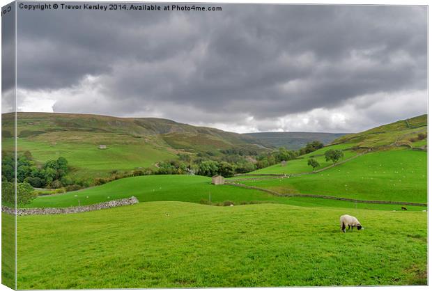 Yorkshire Dales View Canvas Print by Trevor Kersley RIP