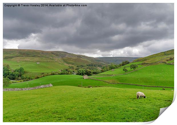 Yorkshire Dales View Print by Trevor Kersley RIP