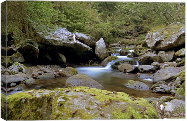 The East Lyn near Watersmeet  Canvas Print by graham young