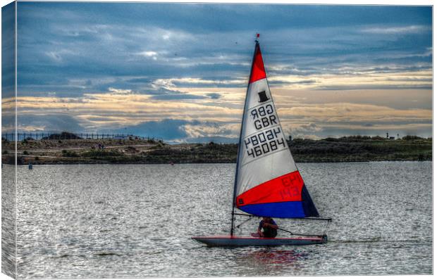  the marina Canvas Print by sue davies