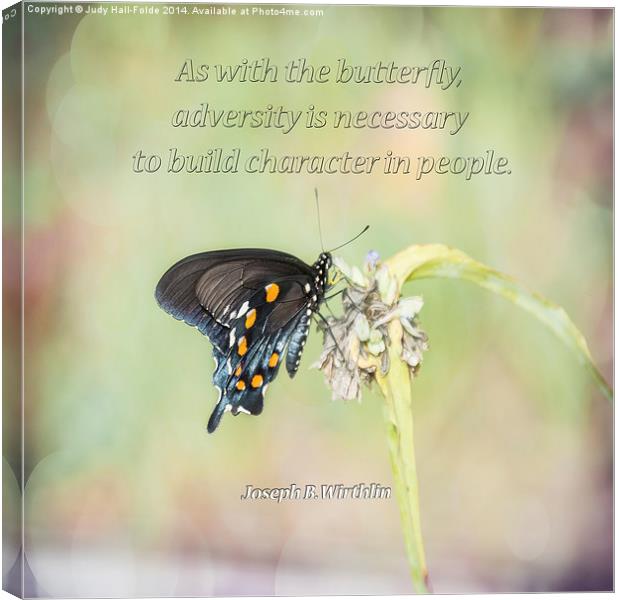  Building Character Butterfly Canvas Print by Judy Hall-Folde