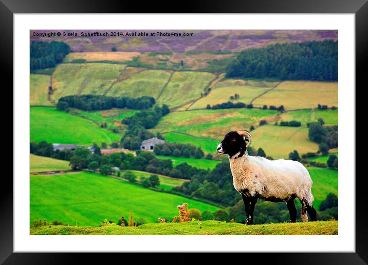  Rosedale in the North York Moors Framed Mounted Print by Gisela Scheffbuch